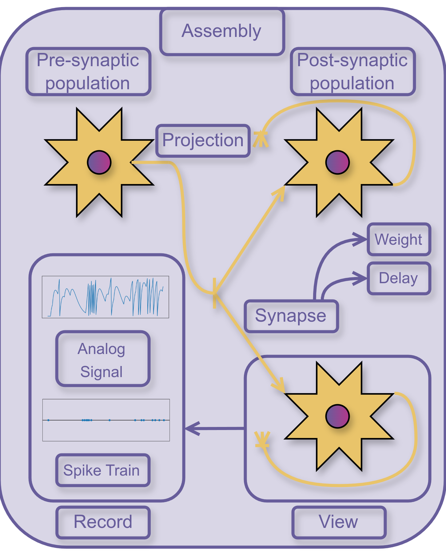 PyNN concepts summary